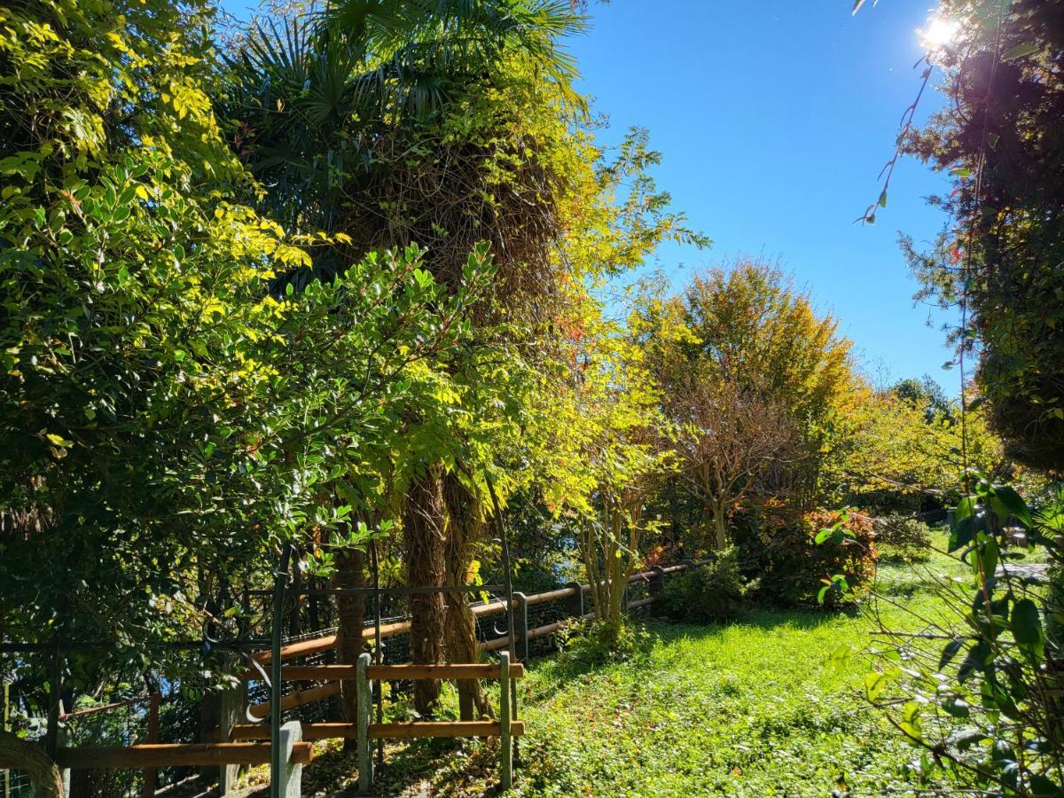 Bella Vista Lago Maggiore Ghiffa Εξωτερικό φωτογραφία