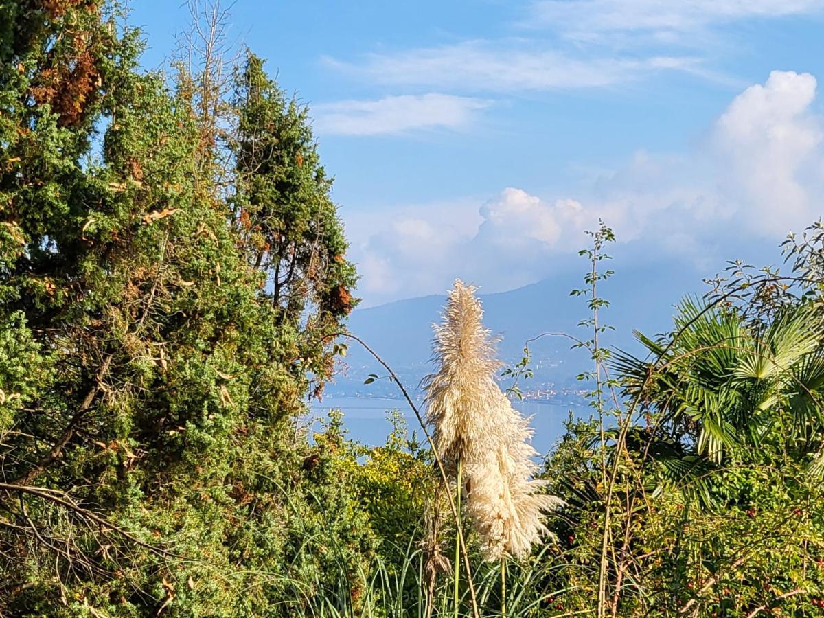 Bella Vista Lago Maggiore Ghiffa Εξωτερικό φωτογραφία