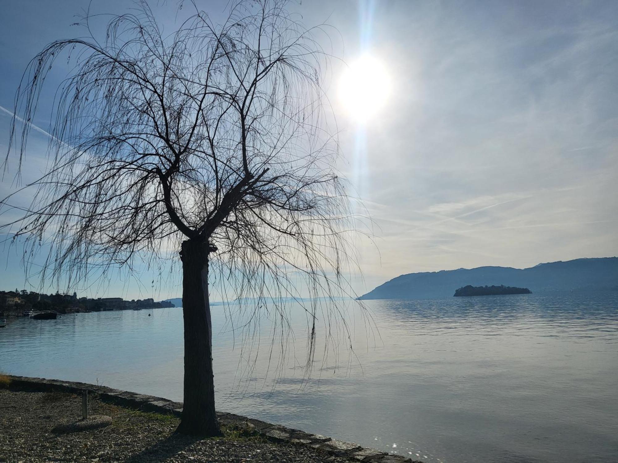 Bella Vista Lago Maggiore Ghiffa Εξωτερικό φωτογραφία